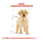 Royal Canin Puppy Labrador Retriever ração para cães, , large image number null